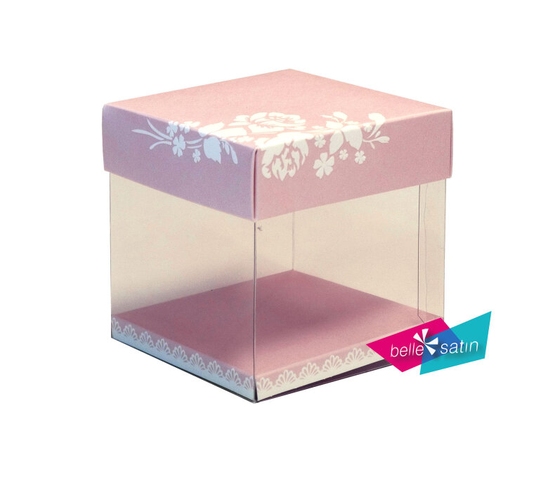 4051_krabička s víčkem transparentní